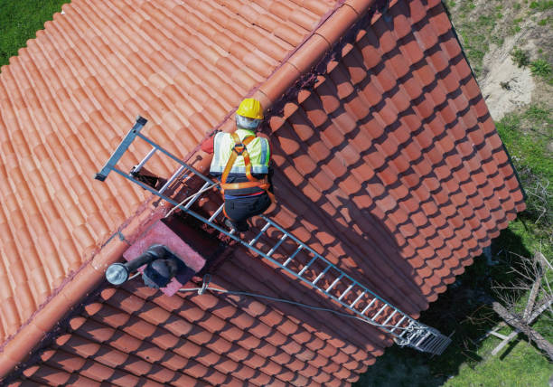 Best Skylight Installation and Repair  in Glencoe, IL