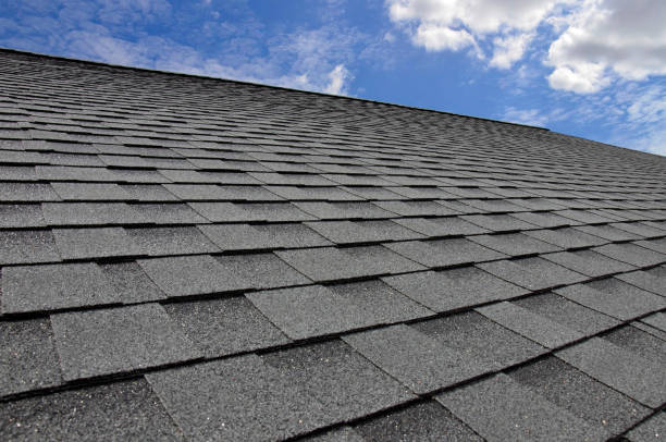 Best Skylight Installation and Repair  in Glencoe, IL