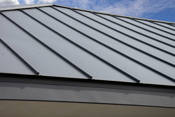 Best Roof Moss and Algae Removal  in Glencoe, IL
